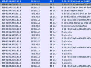 TLS/SSL 协议交互流程_ssl交互过程