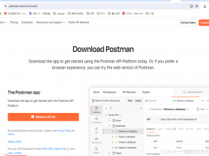 如何在 Linux 上安装并运行 Postman？_postman linux
