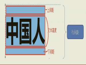 css初学者第二天