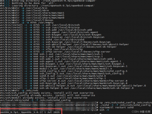 紧急安全通告：多款 OpenSSH 与 glibc 高危漏洞曝光，CVE-2023-38408 等须立即修复