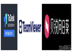 手机和PC远控安全深度测评：TeamViewer/ToDesk/向日葵安全防线对比_远程控制软件测评