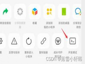 微信小程序开发过程中，体验版调试模式是一个非常实用的功能，尤其适用于测试人员、产品或团队成员在正式发布前进行功能验证。以下是对微信小程序“体验版调试模式”的详细设置说明，包括操作步骤等_小程序调试模式