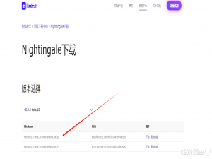 夜莺-Nightingale-开源云原生监控分析系统二进制部署指南_夜鹰中配置数据库