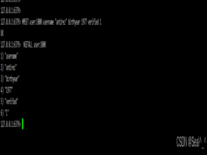 Redis哈希(Hash)类型详解：高效存储与操作对象数据