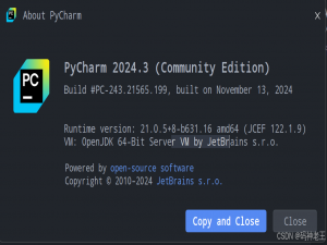 Pycharm中AI Assistant怎么使用_pycharm使用ai
