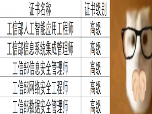 【职业技能证书】 IT 职业认证指南：工信部认证从 AI 到安全的五大证书解析_人工智能与信创相关的认证证书有哪些
