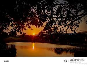 如何提升团队动力，避免“只有项目经理在急”的困境？