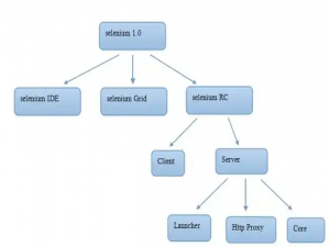 Java+Selenium入门_java selenium