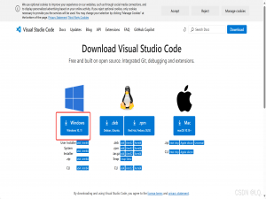 【前端开发环境配置】VS Code、Node、npm、git_vscode npm