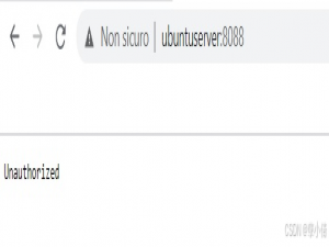 qBittorent访问webui时提示unauthorized解决方法_qbit unauthorized