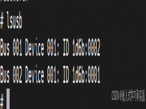 手把手教-Arm Linux 使用Air780 4G模块USB上网 - RNDIS_合宙air780e linux使用