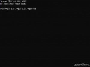 收藏！前端如何将项目部署到服务器（Nginx）-精简版_nginx部署前端项目放在哪里