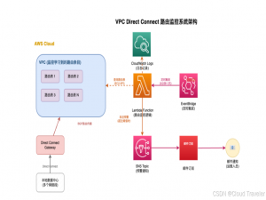 AI 加持：Amazon VPC Direct Connect 路由监控系统构建实践