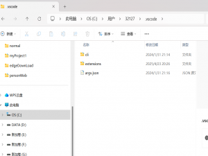VSCode如何修改默认扩展路径和用户文件夹目录到其他盘以及微信开发工具如何修改扩展路径到其他盘_vscode扩展在哪个路径