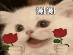 ARM Cortex-M3内核详解_arm m3