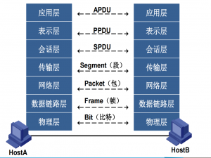 TCP/IP协议基础_tcpip七层模型