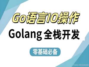 【Golang】关于Go语言中的IO操作_golang io