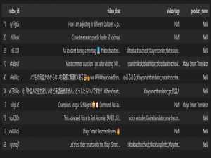 “Datawhale AI夏令营”基于带货视频评论的用户洞察挑战赛_xfaiyx smart translator