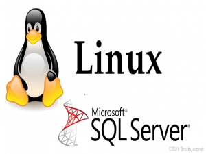 如何在 Linux 上安装 SQL Server 2022 和 Azure Data Studio