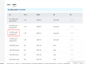 在华为昇腾服务器Ascend 300I Pro 310P芯片（ 310P3）安装QWQ32B大模型以及deepseek蒸馏版！