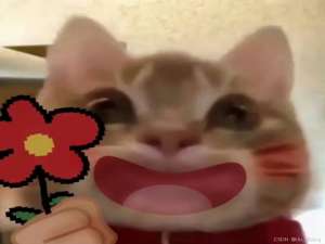 【C语言4】数组：一维数组、二维数组、变长数组及数组的练习题_c语言一维数组相关的习题