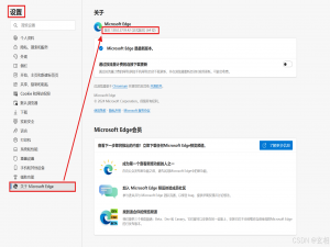 【Python】selenium安装+Microsoft Edge驱动器下载配置流程_edge浏览器驱动