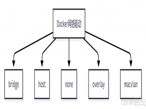 【Docker基础】Docker端口映射（-p参数）深度解析与实践指南_docker -p