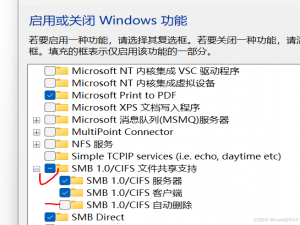 windows11 LTSC 24h2 访问NAS问题的安全高效解决_win11无法访问nas