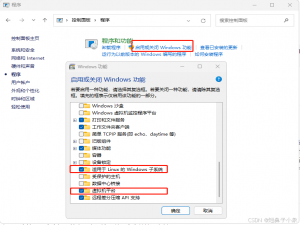 【通过WSL2安装Ubuntu24.04系统及图形化界面】_wsl ubuntu图形界面