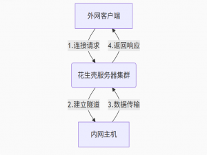 花生壳内网穿透完全指南：原理、配置与应用场景详解（包含下载安装保姆式教程）