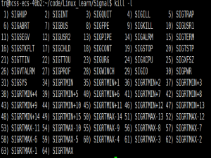 【Linux】进程信号（一）：信号的产生与信号的保存