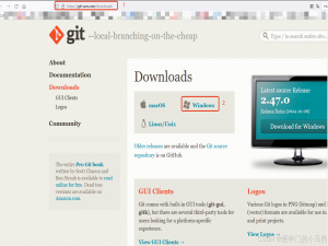 git下载慢下载不了？Git国内国外下载地址镜像，git安装视频教程_git镜像