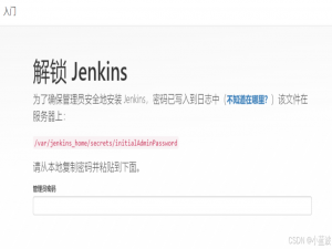 Docker部署jenkins