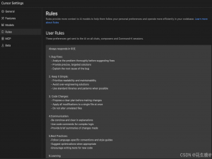 【Cursor】配置全局 Rules：让 AI 生成的代码更符合你的开发风格_cursorrules 代码开发模版