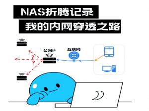 再也不用公网IP了,家庭云计算IPV6内网直通方案详解:https证书+反向代理 全搞定_ipv6反向代理