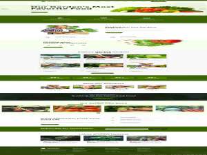 绿色清新自然农业园艺网站制作#网页设计 #网站建设 #公司网站建设