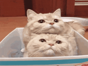 HarmonyOS第九章：鸿蒙axios(@ohos/axios)_鸿蒙axios如何使用