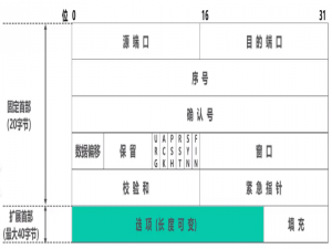 TCP的三次握手和四次挥手：原理与过程详解_tcp握手和解手