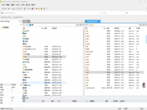 配置DNS服务的正反向解析