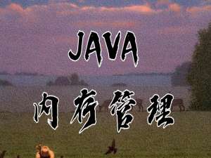 深入理解 Java 内存区域与内存溢出异常_java开发工程师 必看文章内存溢出