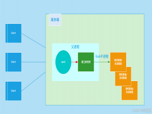 【linux 多进程并发】0203 网络资源的多进程处理，子进程完全继承网络套接字，避免“惊群”问题_继承套接字