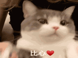 【Python篇】深入机器学习核心：XGBoost 从入门到实战_python xgboost