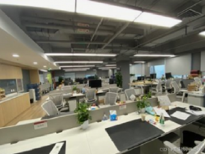 我的赛博之路：跨越失业迷雾，于 IT 矩阵破茧成蝶