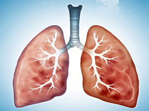 基于深度学习的胸部 X 光图像肺炎分类系统（三）