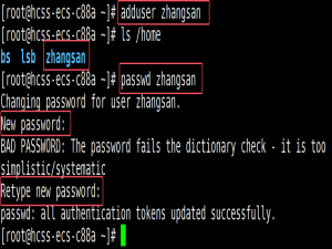 【Linux系统编程】基础指令
