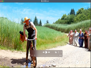 多模态（3）：实战 GPT-4o 视频理解_gpt4o api实现视频理解