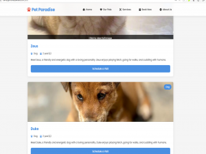 用 Flask 打造宠物店线上平台：从 0 到 1 的全栈开发实践