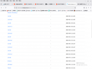 AWD的攻击和防御手段