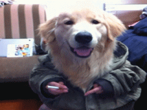 【UI自动化测试】selenium操作补充_使 selenium模拟 标操作输入