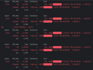 （12）机器学习小白入门YOLOv：YOLOv8-cls 模型微调实操